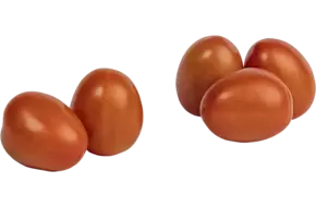 Pomodori tomaten